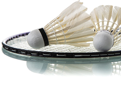 badminton 500