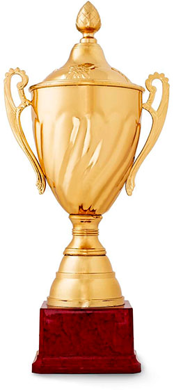 pokal